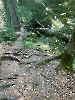 Kirándulás Szombathelyre és a Jeli Arborétumba_5